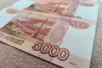Ленобласть простила предприятию Михельсона треть миллиарда налогов
