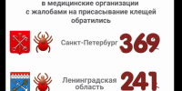 За неделю в Петербурге и Ленобласти число укушенных вампирами выросло в 6 раз. С клещами к врачам пришли больше 600 человек - 47 новостей