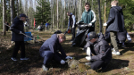 Всероссийский субботник в Ленобласти охватит более 500 парков и мемориалов