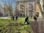Прокуратура Ленинградской области приняла участие во Всероссийском субботнике