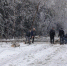 Москву и Подмосковье завалило снегом. Тысячи человек остались без света - 47 новостей