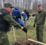Офицеры следственного управления присоединились к международной эколого-патриотической акции «Сад памяти» - Следственный комитет