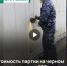 В порту Петербурга вскрыли килограммы наркопорошка на полмиллиарда рублей - 47 новостей