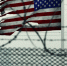 Ученую из России арестовали в США за контрабанду эмбрионов лягушки - Online47.Ru
