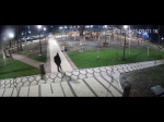 В сквере Юность в Гатчине орудовал вандал - видео