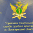 Злостные неплательщики алиментов из Ленобласти оказались в едином публичном реестре должников - ЛенТВ24