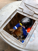 В мусорном контейнере в Лодейном Поле застряла собака