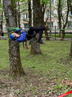 В Киришах подвели итоги соревнований по спортивному туризму на пешеходных дистанциях