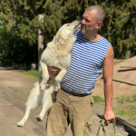 С 1 июля в Ленобласти начнут штрафовать владельцев незарегистрированных собак