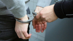 В Всеволожском районе полиция задержала двух распространителей наркотиков