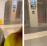 Шахта лифта заполыхала огнем в БЦ на улице Седова в Петербурге - Online47.Ru