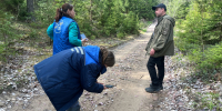 В Нижне-Свирском заповеднике прошла проверка на заболевания диких животных - Online47.Ru