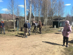 В месячнике субботников принял участие почти каждый четвертый житель Ленобласти