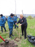 В Ленобласти на субботники за месяц вышли более 400 тысяч человек