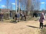 В Ленобласти на субботники за месяц вышли более 400 тысяч человек