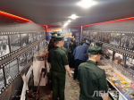 В Петербурге проходит акция Минобороны «Единство в памяти. Сила в подвиге!»