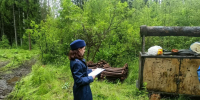 Лесоарендателя в Лужском районе обвинили в несоблюдении пожарной безопасности - 47Channel.Ru