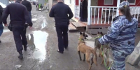 У жителей в Верхних Осельках оказались официально зарегистрированы только 16% домов  - 47 новостей