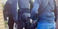 В Парголово задержали уроженца другой страны по подозрению в мошенничестве - 47Channel.Ru