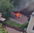 Контейнерная площадка полыхала в Выборге у бывшего завода детских колясок - 47 новостей