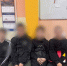 Подростки в Петербурге проникли на территорию ж/д станции "понаблюдать за поездами" - 47Channel.Ru