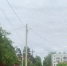 В Песочное вернулся свет. Оказалось, что дерево было ни при чем - 47 новостей