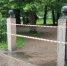 В Ленобласти снова закрывают парки из-за ветра - 47 новостей