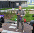 Ленобласть ужесточает требования по борьбе с борщевиком - Комитет по печати