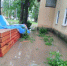 Сланцы поплыли под дождями. В Лучках — водопад, в центре «требуется подводная лодка» - 47 новостей