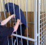 Арестован водитель, скрывшийся после смертельного ДТП под Гатчиной - 47 новостей
