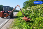 Дорожники Ленобласти усиленно ведут борьбу с борщевиком во всех районах