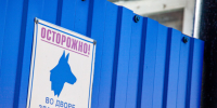 В Сясьстрое собака напала на девочку-подростка - 47 новостей