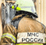 В Волосово огонь уничтожил гараж с «Ладой» - 47 новостей