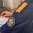 Жительница Бибино обокрала дом соседа - ЛенОблИнформ