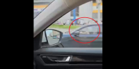 В Петербурге ребенок попал в объектив, сидя за рулем. Штраф за поездку - у хозяина «китайца» - 47 новостей