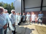 Ветеринарные специалисты обсудили проблемы молочного животноводства