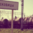 12-летний подросток из Войсковиц получил травму на спортплощадке и находится в реанимации - 47Channel.Ru