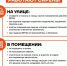 Жителям Ленобласти напомнили, что делать при обнаружении и атаке беспилотников - Online47.Ru