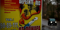 В Ленобласти планируется модернизация системы раннего обнаружения лесных пожаров - Online47.Ru