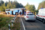 Один погиб, 16 - в больнице. У Лодейного Поля под поезд попали туристы из Поволжья