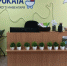 Пункт проката детского инвентаря! - Управление ЗАГС