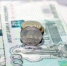 Жительница Петербурга выиграла в лотерею более 70 млн рублей - Online47.Ru