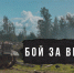 В военно-историческом фестивале в Выборге приняли участие более 150 реконструкторов - ЛенТВ24
