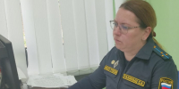 Житель Кингисеппа оплатил долги по налогам после ареста любимой иномарки - 47Channel.Ru