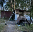 В Сосновом Бору расследуется уголовное дело по факту гибели трех лиц в результате отравления - Следственный комитет