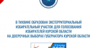 На территории Ленинградской области Избирательной комиссией Курской области образован экстерриториальный избирательный участок для голосования избирателей Курской области - Леноблизбирком