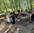 Эко-лето школьников Ленобласти: знания, приключения, природа! - Комитет по природным ресурсам