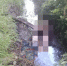 Из канавы с водой в Мурино подняли тело мужчины - 47 новостей