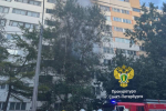 В Петербурге произошел крупный пожар в доме. Есть погибший
