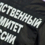 В поселке Кирпичное двухлетнего мальчика ударило током - 47Channel.Ru